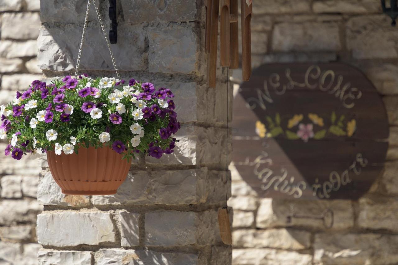 Ameliko Zagori Hotel Ано Педина Екстериор снимка
