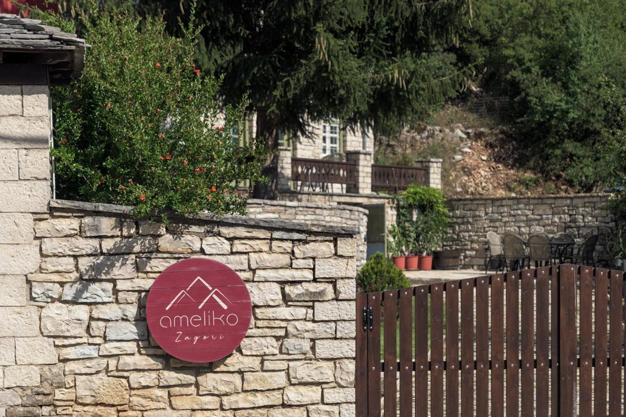 Ameliko Zagori Hotel Ано Педина Екстериор снимка